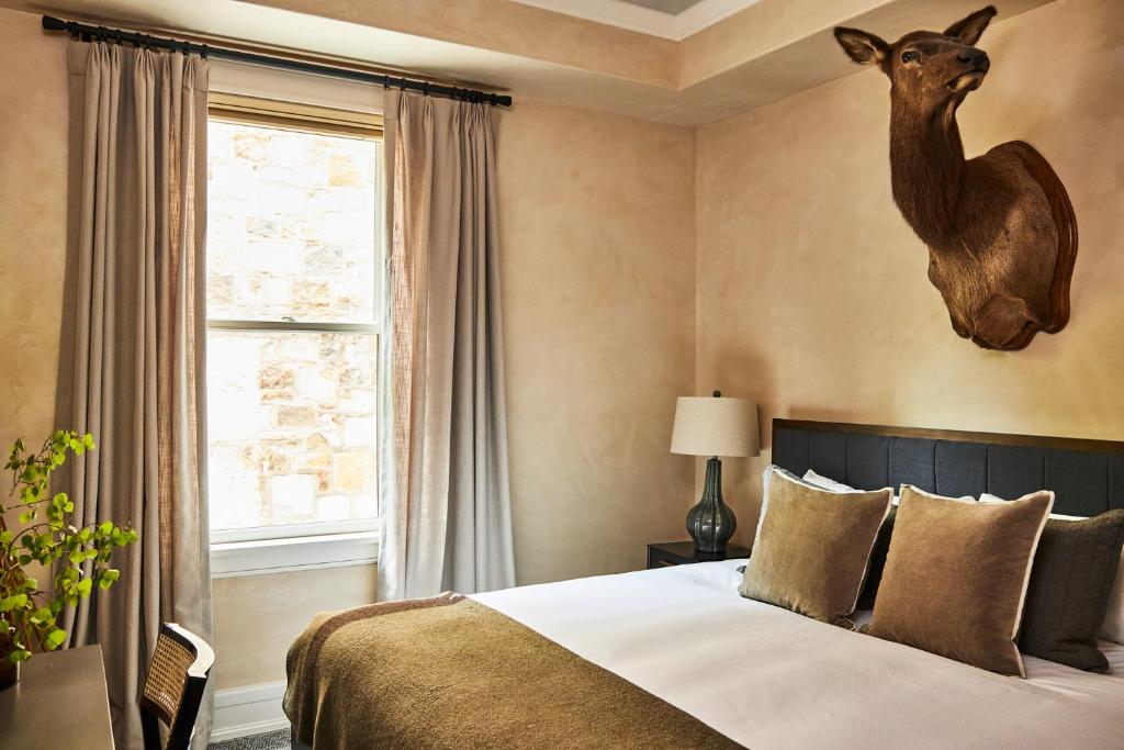 The Auberge Residences at Element 52 image 6